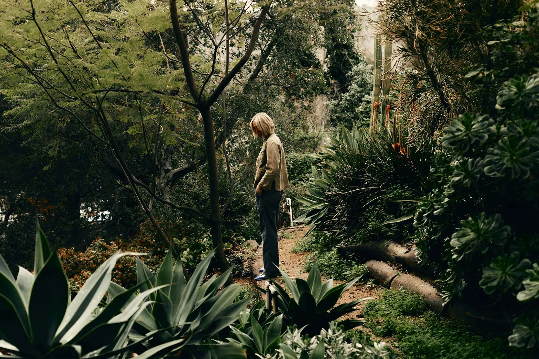 imogene + willie Blake Military Trouser In Black|Women Pants & Shorts