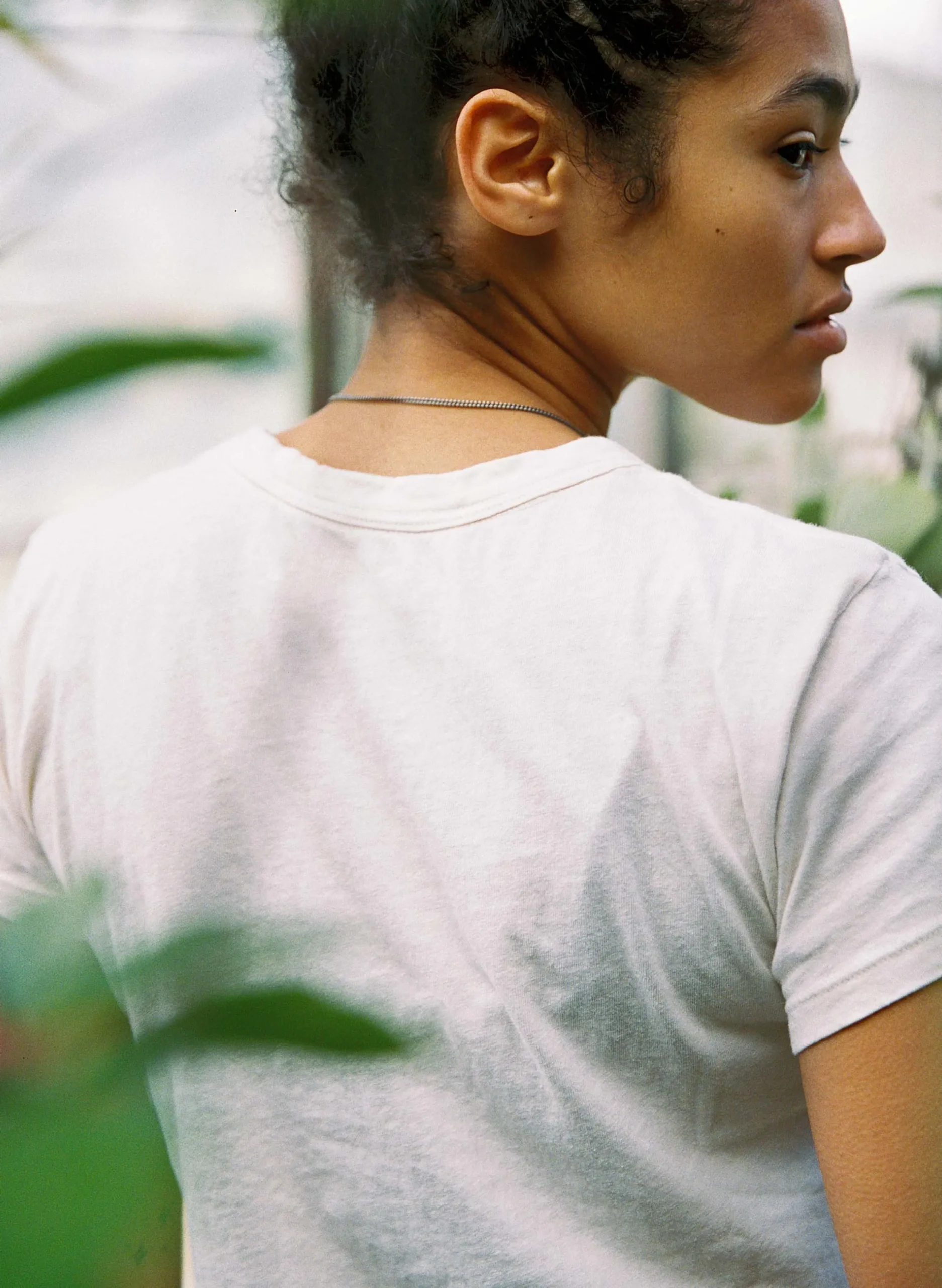 imogene + willie The Drop Tee In Vintage White|Women Tees + Tanks